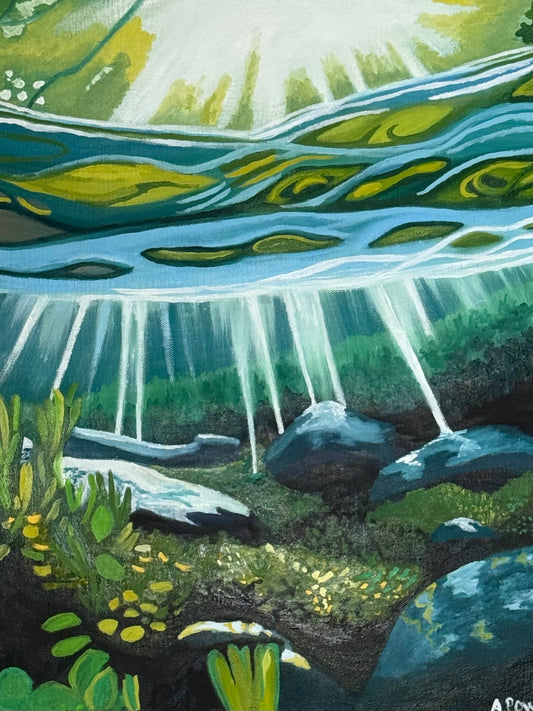 The Mermaid's Garden